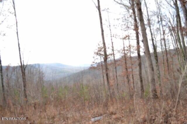 Lot 75 Tomahawk Road Jamestown TN 38556