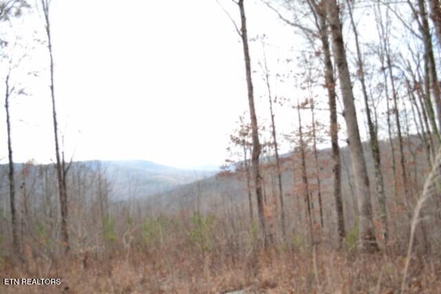 Lot 75 Tomahawk Road Jamestown TN 38556