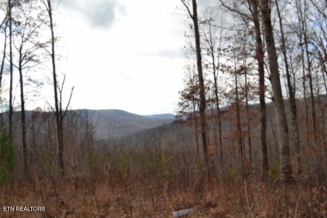 Lot 75 Tomahawk Road Jamestown TN 38556