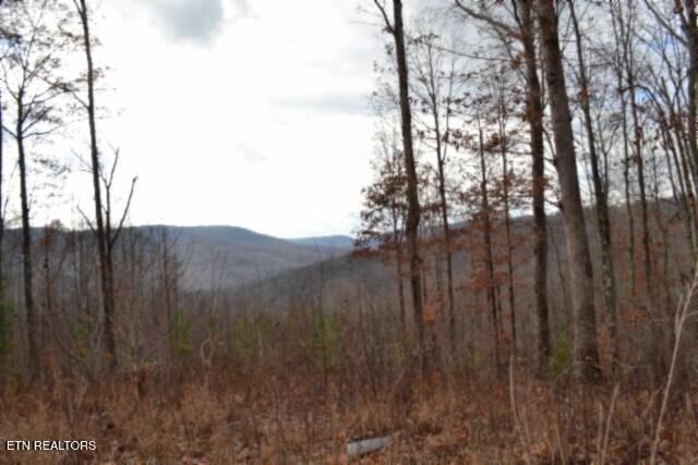 Lot 75 Tomahawk Road Jamestown TN 38556