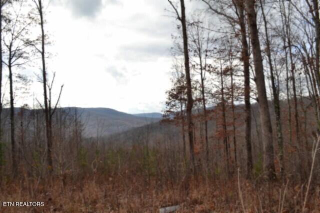 Lot 75 Tomahawk Road Jamestown TN 38556