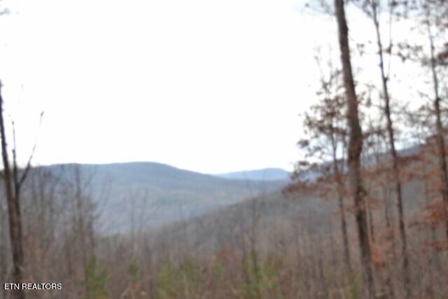 Lot 75 Tomahawk Road Jamestown TN 38556