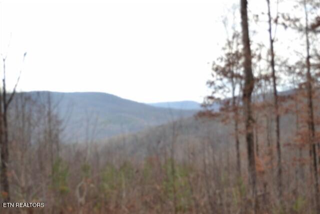 Lot 75 Tomahawk Road Jamestown TN 38556
