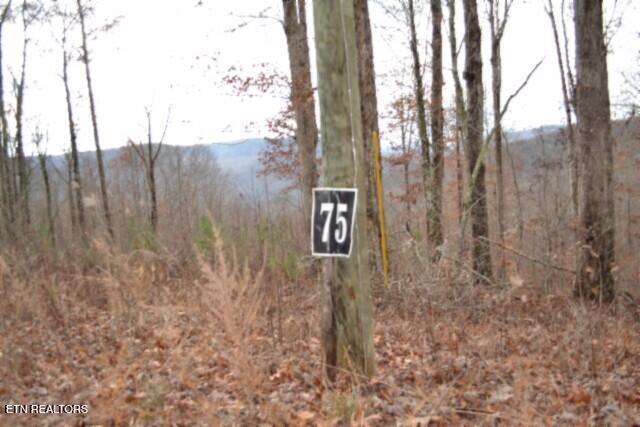 Lot 75 Tomahawk Road Jamestown TN 38556