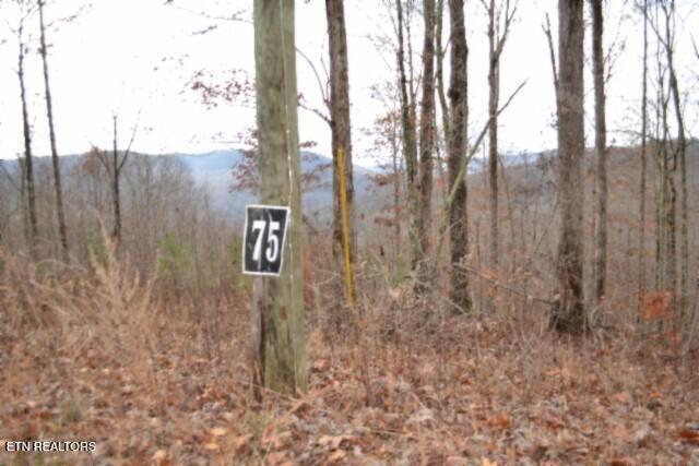 Lot 75 Tomahawk Road Jamestown TN 38556