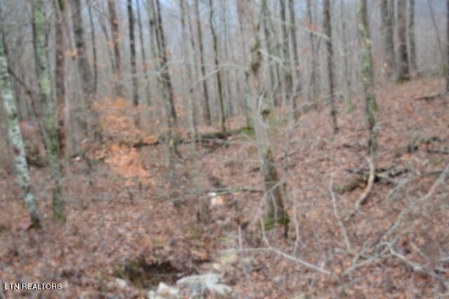 Lot 75 Tomahawk Road Jamestown TN 38556