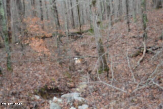 Lot 75 Tomahawk Road Jamestown TN 38556