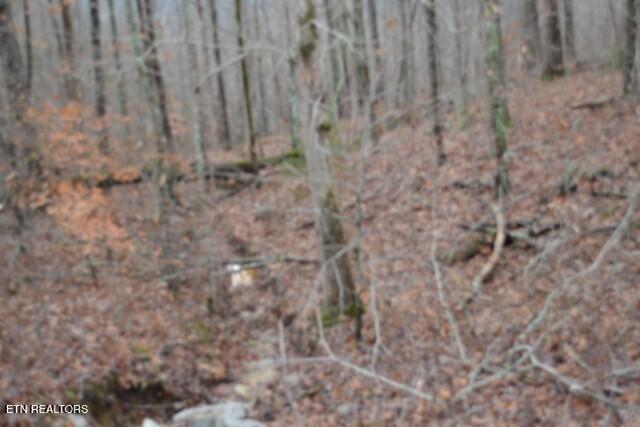 Lot 75 Tomahawk Road Jamestown TN 38556