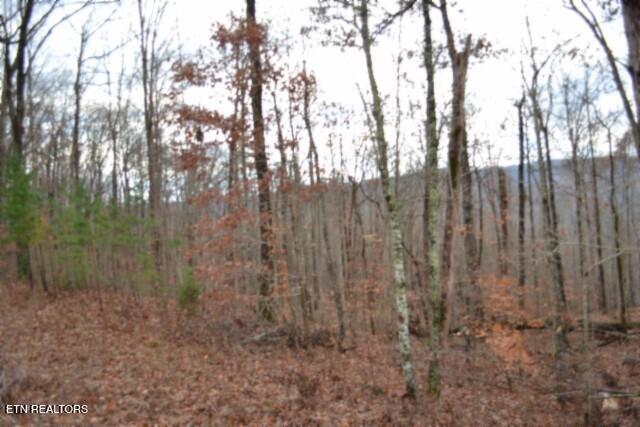Lot 75 Tomahawk Road Jamestown TN 38556