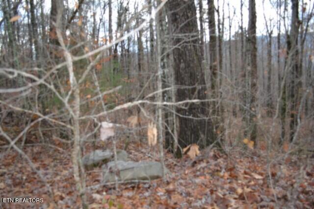 Lot 75 Tomahawk Road Jamestown TN 38556