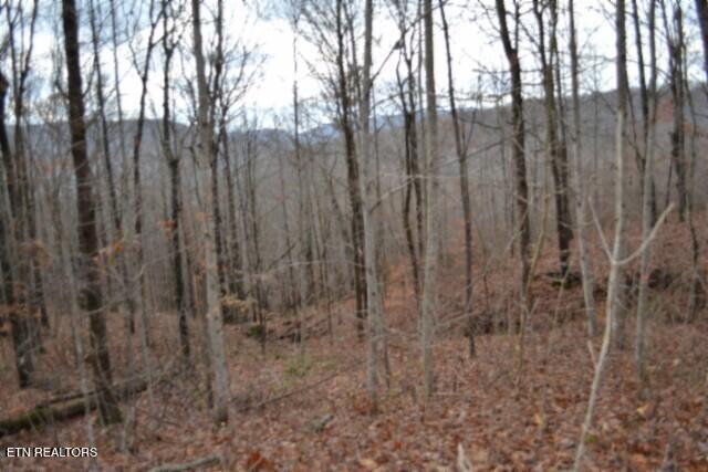 Lot 75 Tomahawk Road Jamestown TN 38556
