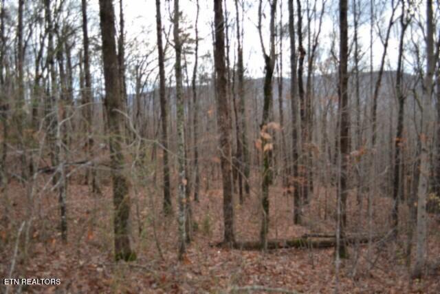 Lot 75 Tomahawk Road Jamestown TN 38556