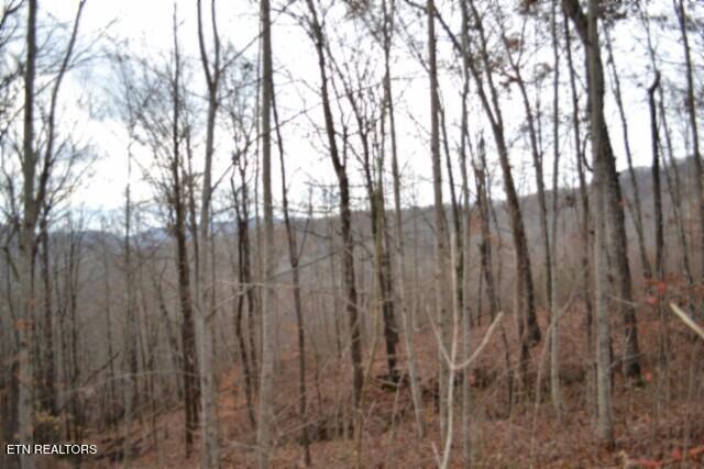 Lot 75 Tomahawk Road Jamestown TN 38556