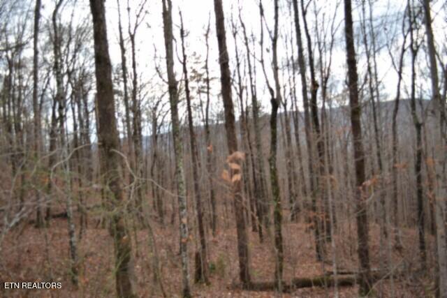 Lot 75 Tomahawk Road Jamestown TN 38556