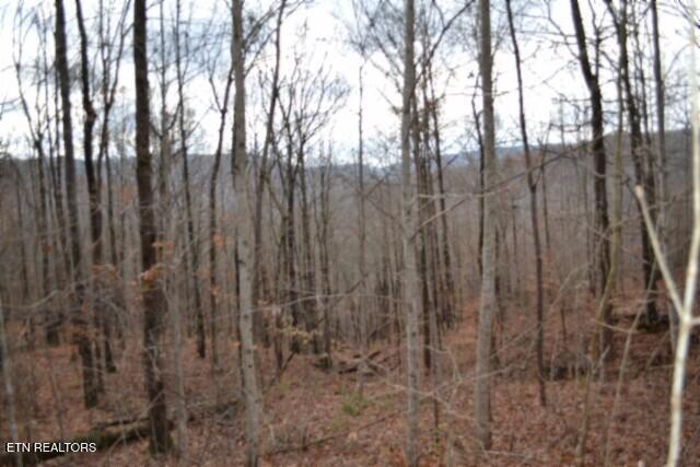Lot 75 Tomahawk Road Jamestown TN 38556
