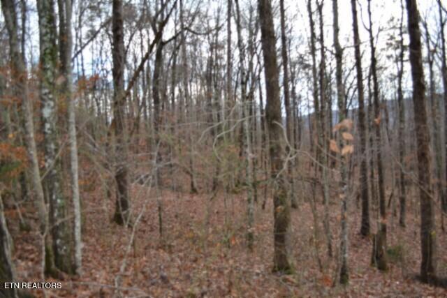 Lot 75 Tomahawk Road Jamestown TN 38556