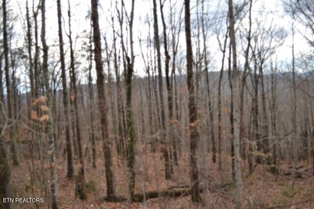 Lot 75 Tomahawk Road Jamestown TN 38556