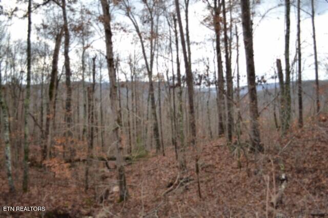 Lot 75 Tomahawk Road Jamestown TN 38556