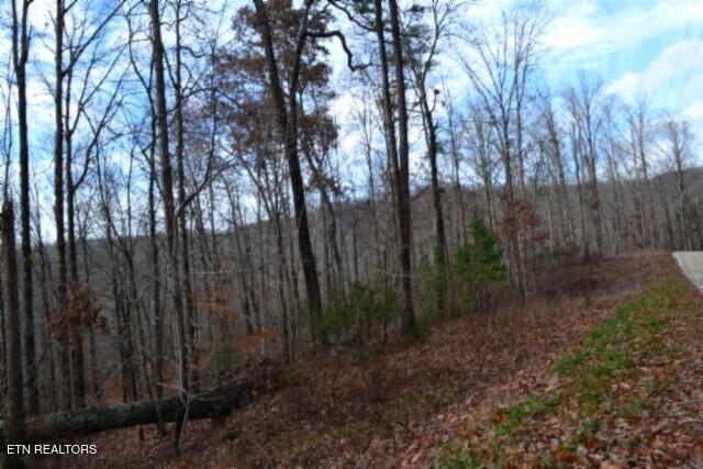 Lot 75 Tomahawk Road Jamestown TN 38556