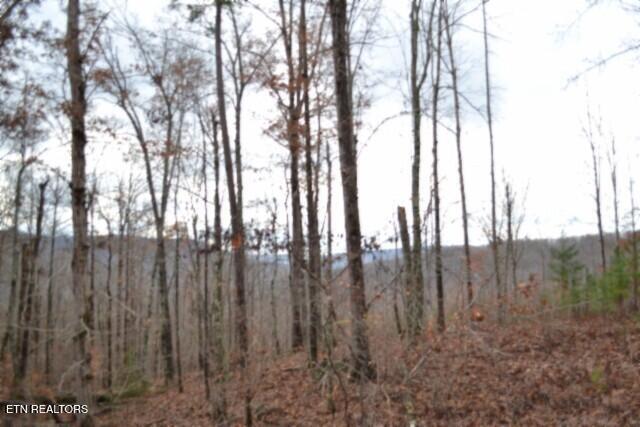 Lot 75 Tomahawk Road Jamestown TN 38556