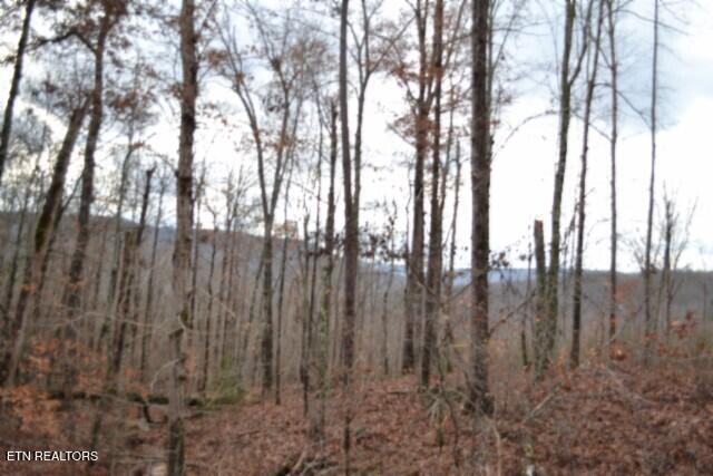 Lot 75 Tomahawk Road Jamestown TN 38556