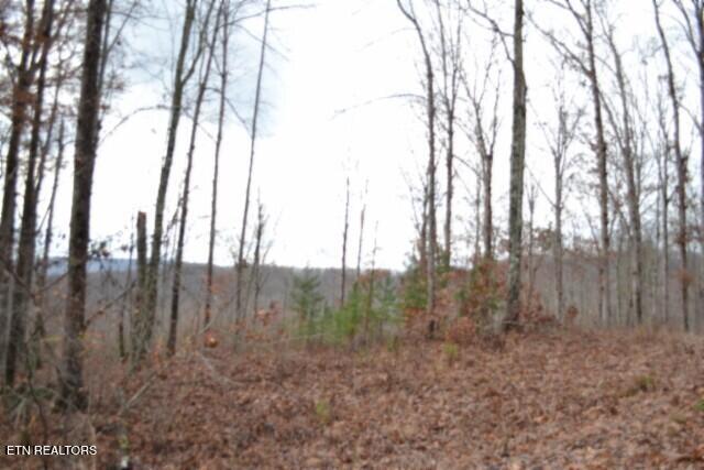 Lot 75 Tomahawk Road Jamestown TN 38556