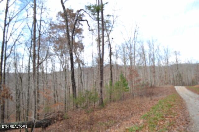 Lot 75 Tomahawk Road Jamestown TN 38556
