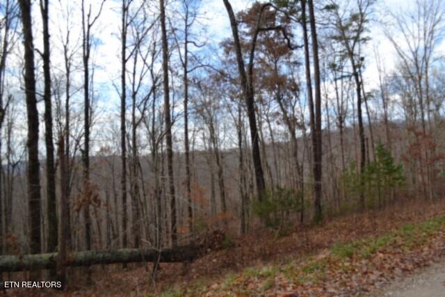 Lot 75 Tomahawk Road Jamestown TN 38556