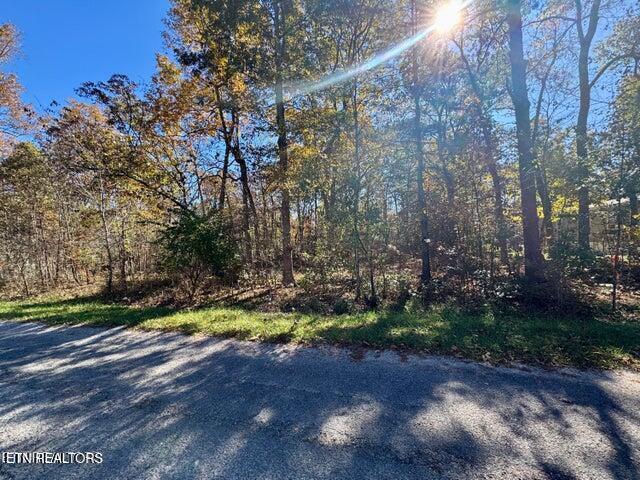 4059 Saponac Drive Crossville TN 38572