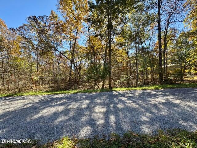 4059 Saponac Drive Crossville TN 38572