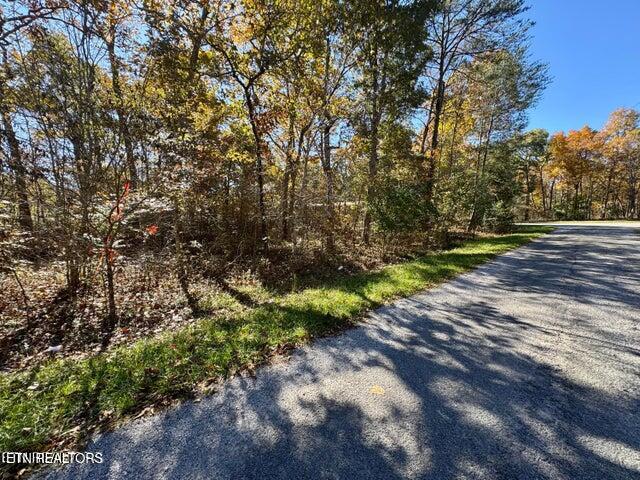 4059 Saponac Drive Crossville TN 38572