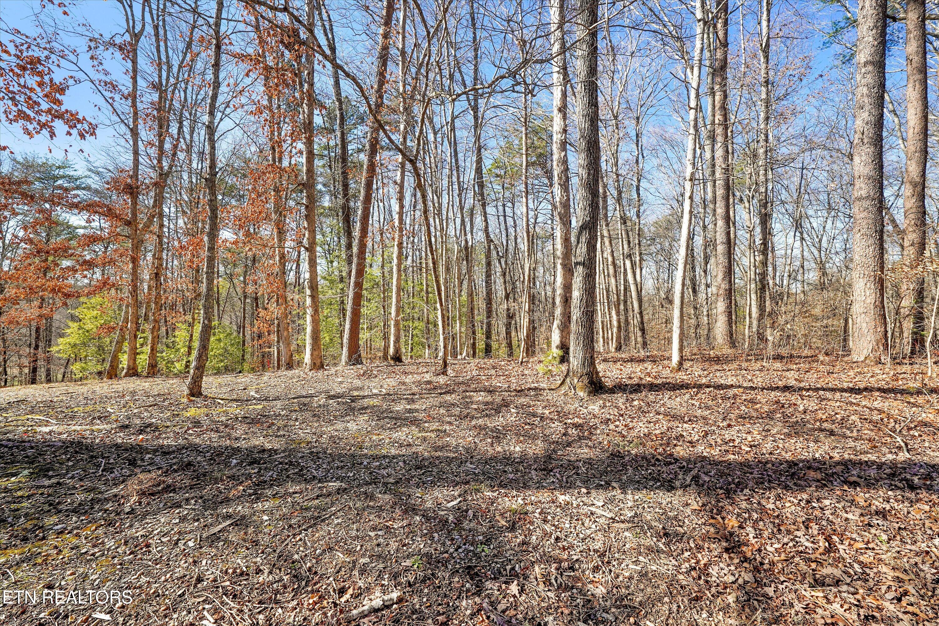 Charles Young Road Walland TN 37886