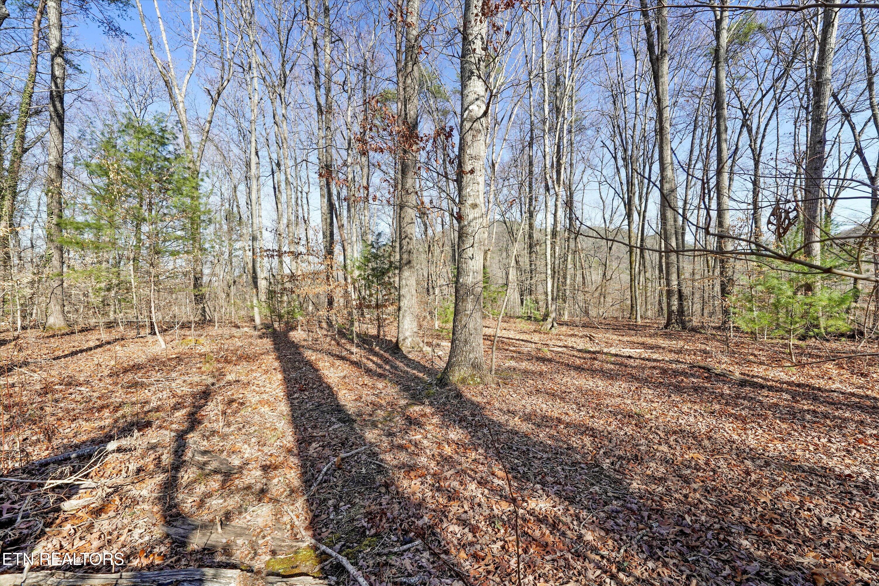 Charles Young Road Walland TN 37886