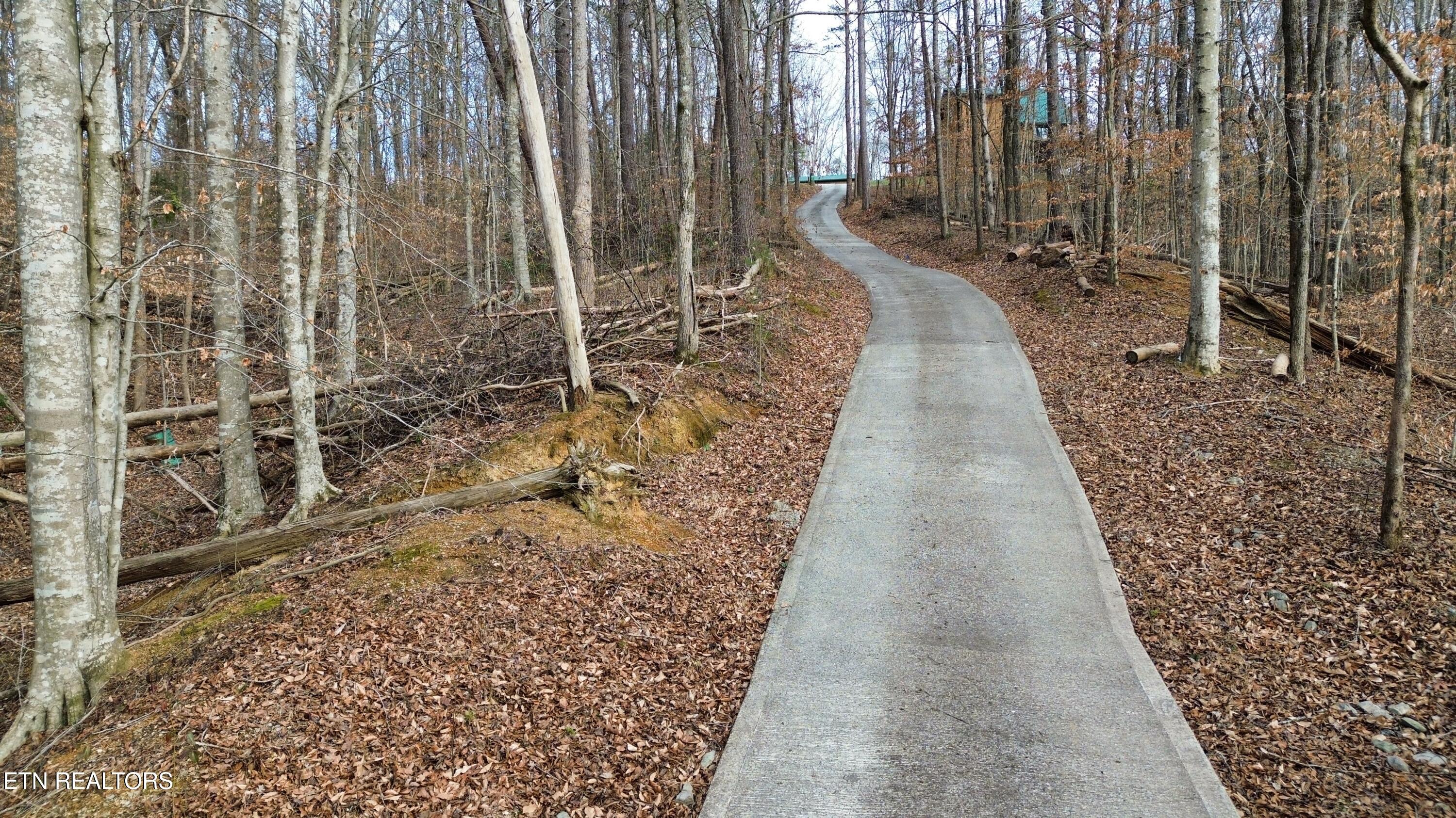 Charles Young Road Walland TN 37886