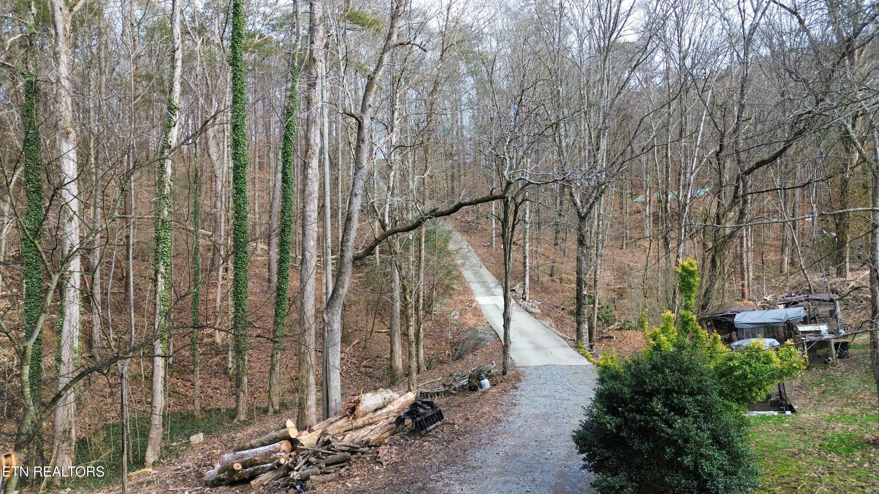 Charles Young Road Walland TN 37886
