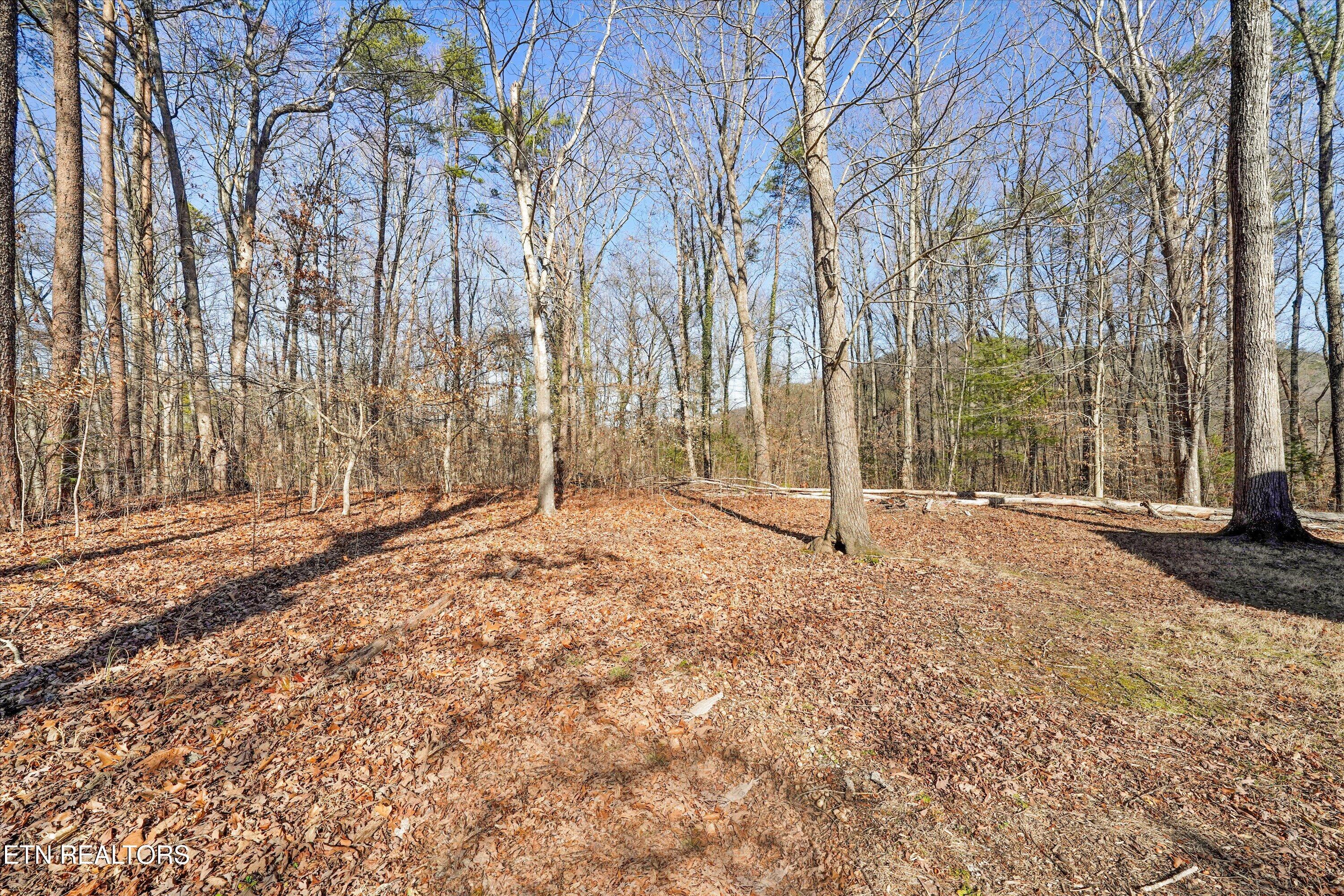 Charles Young Road Walland TN 37886