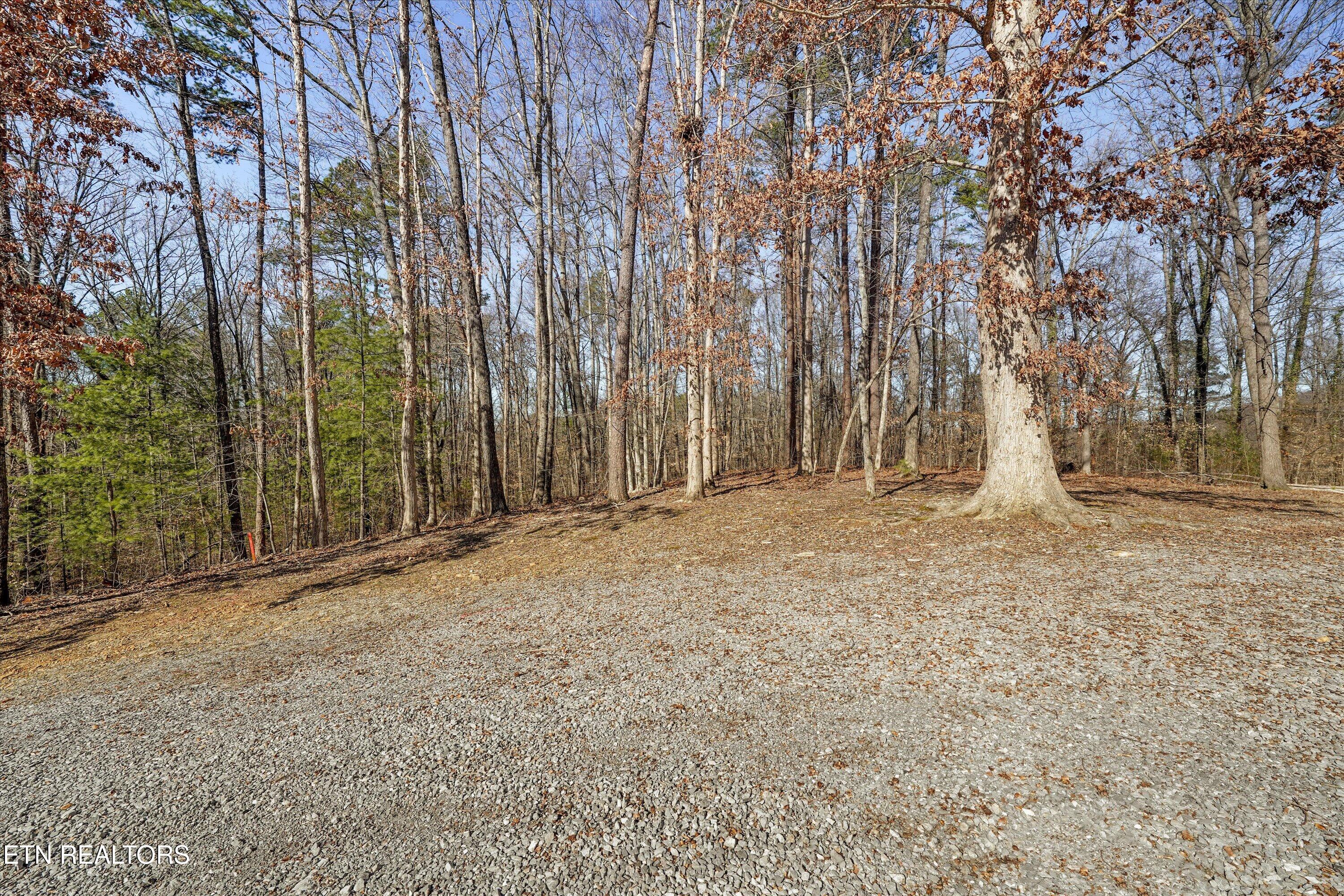 Charles Young Road Walland TN 37886