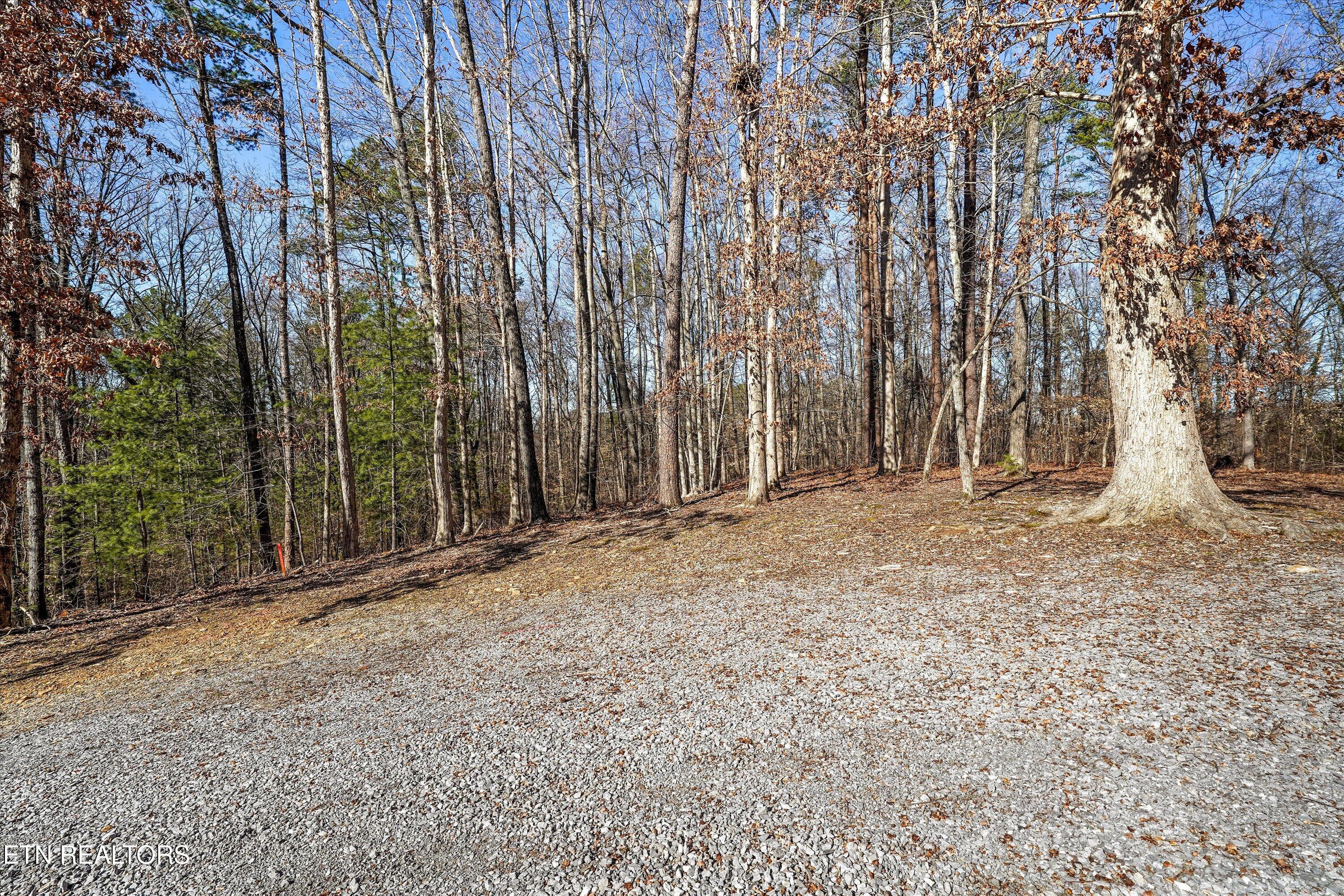 Charles Young Road Walland TN 37886