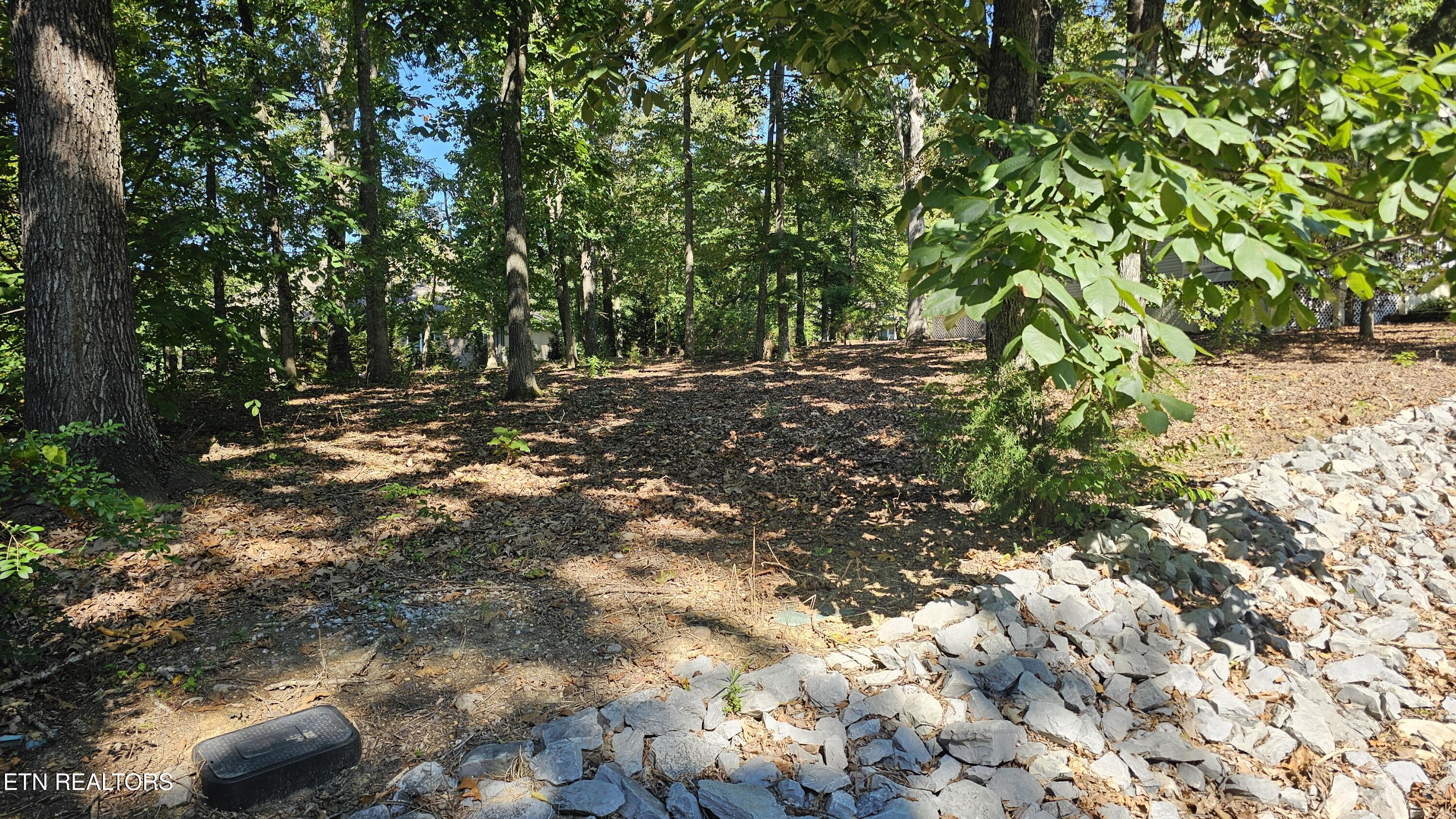 127 Oostanali Way Loudon TN 37774