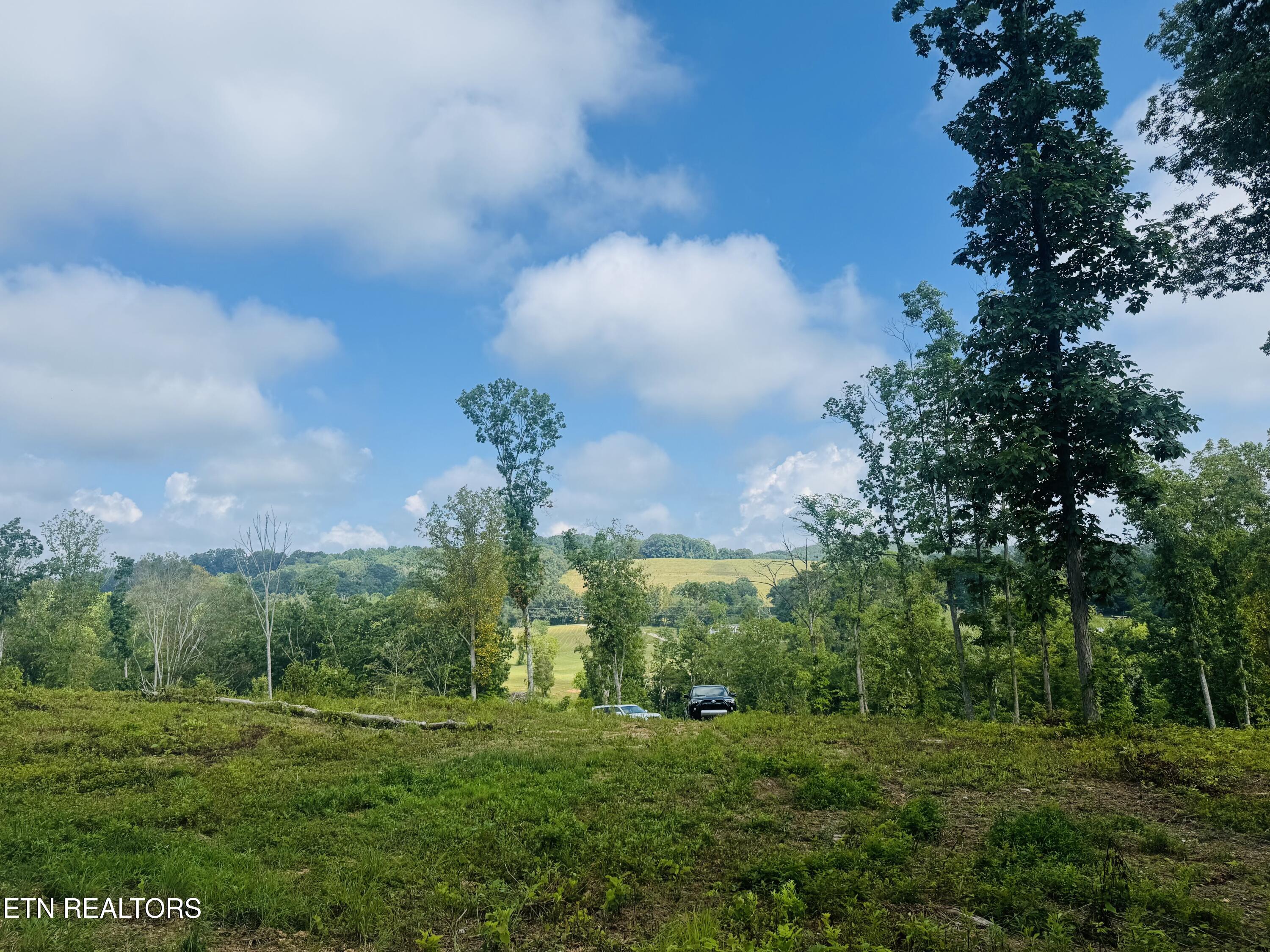 Tract 2 Mill Creek Road Andersonville TN 37705