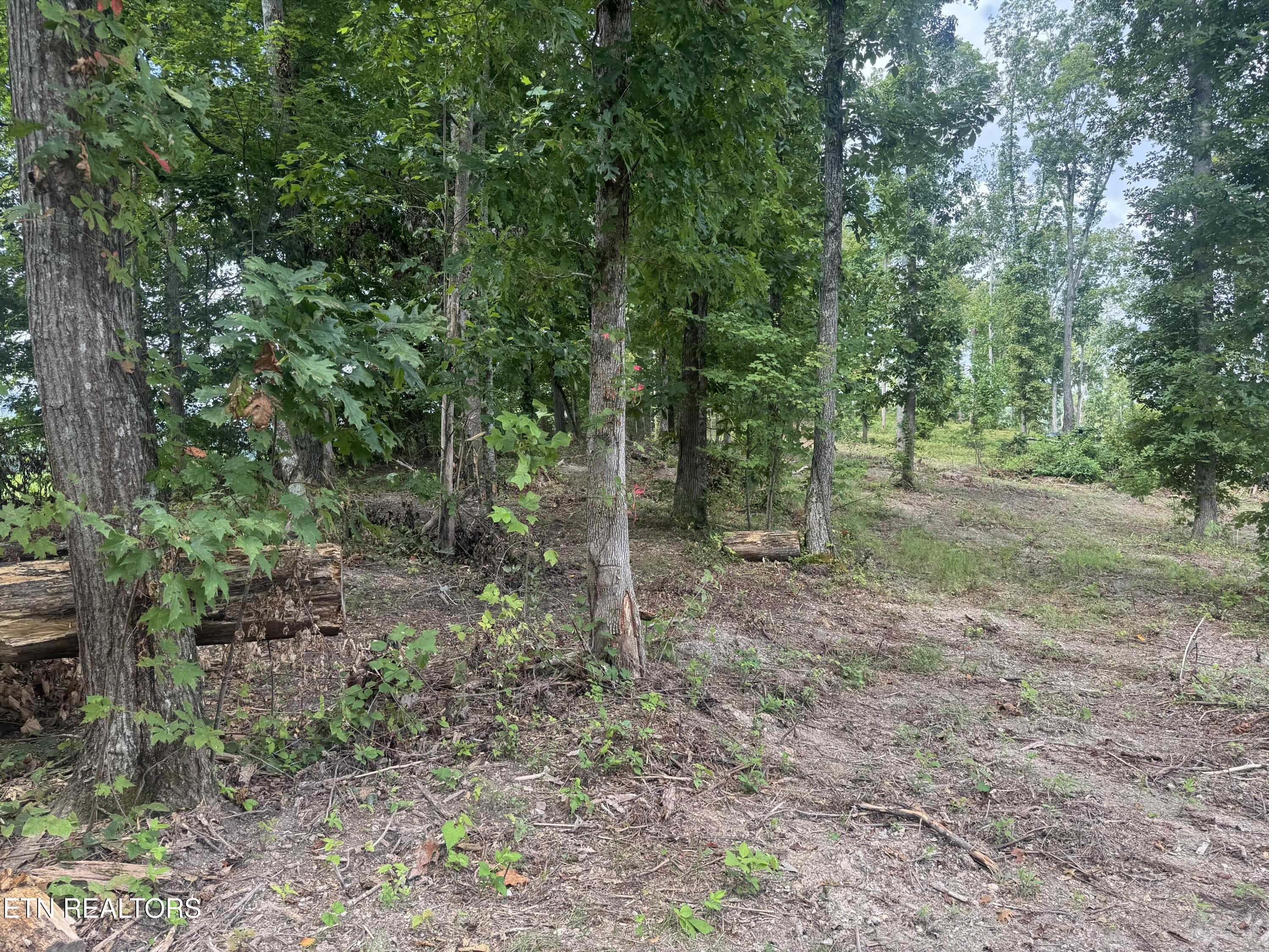 Tract 2 Mill Creek Road Andersonville TN 37705