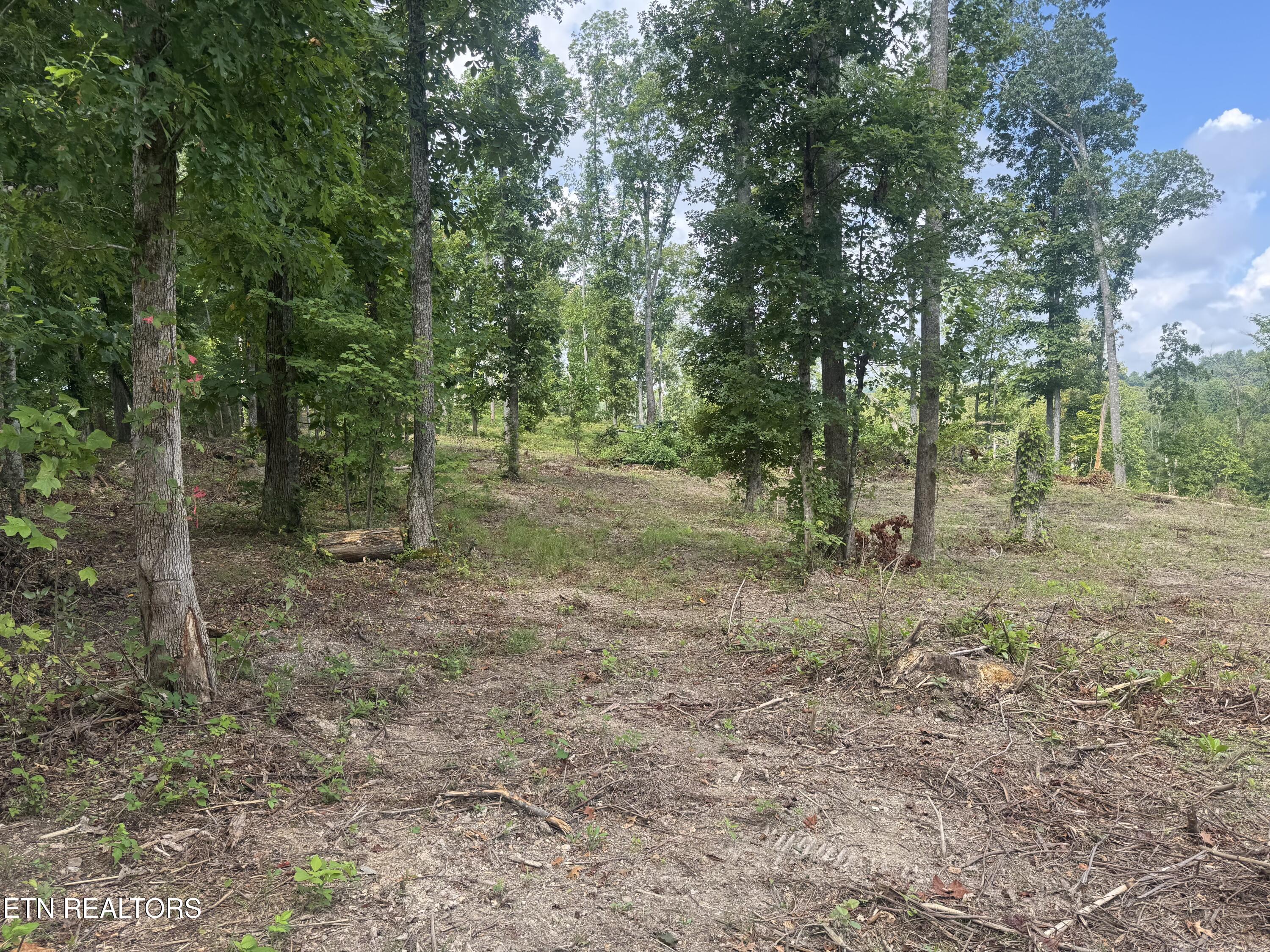 Tract 2 Mill Creek Road Andersonville TN 37705