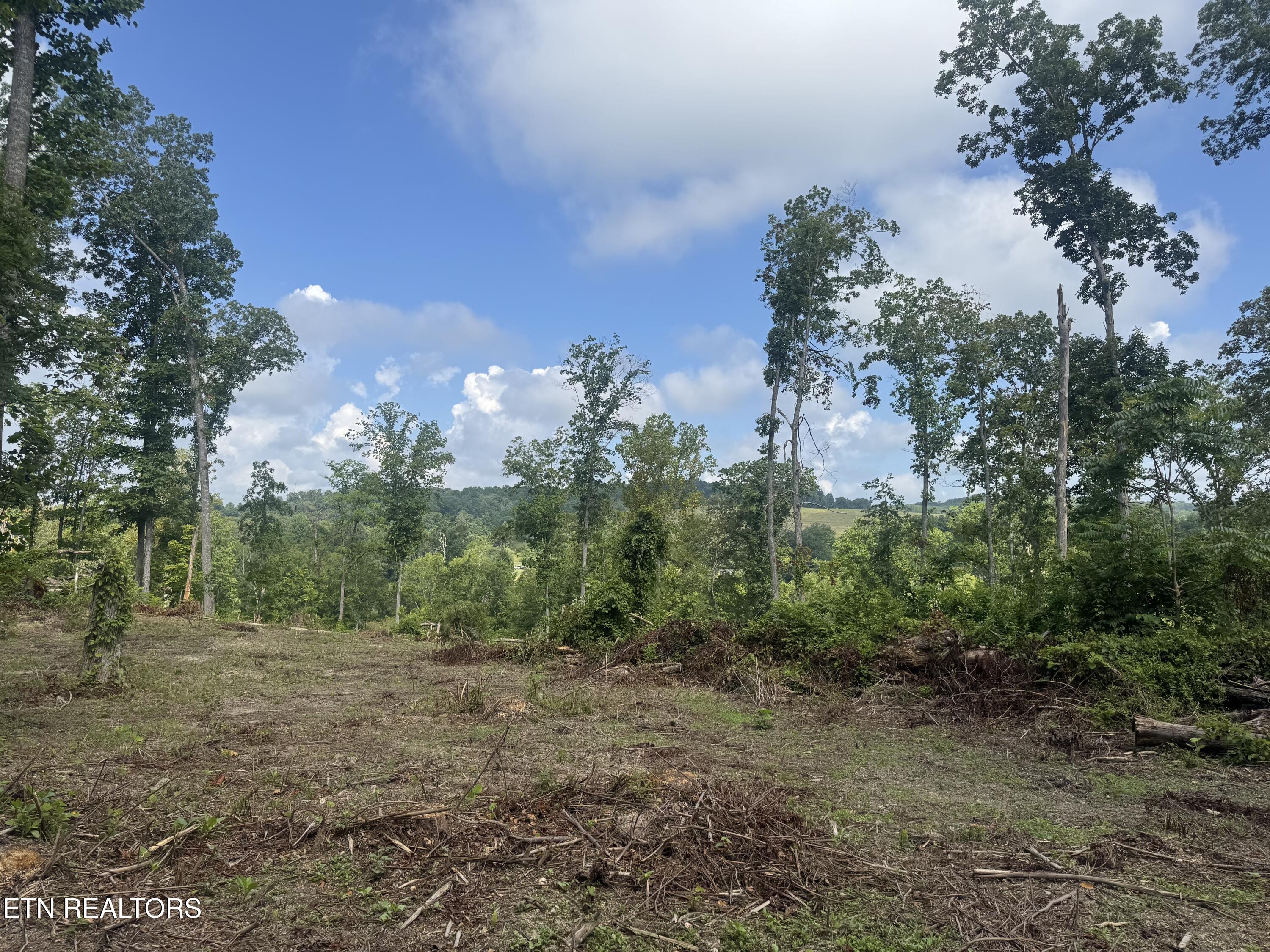 Tract 2 Mill Creek Road Andersonville TN 37705