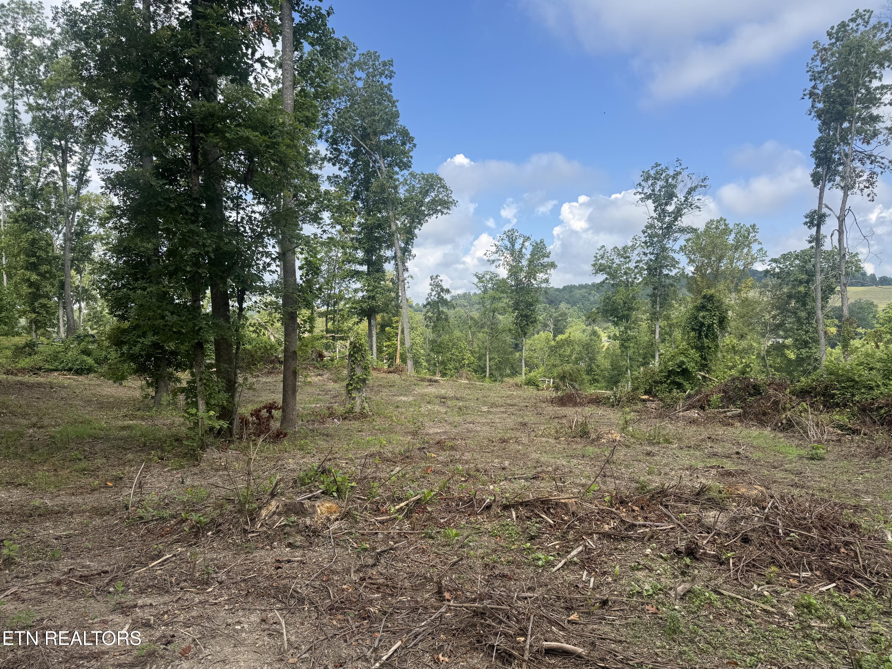 Tract 2 Mill Creek Road Andersonville TN 37705