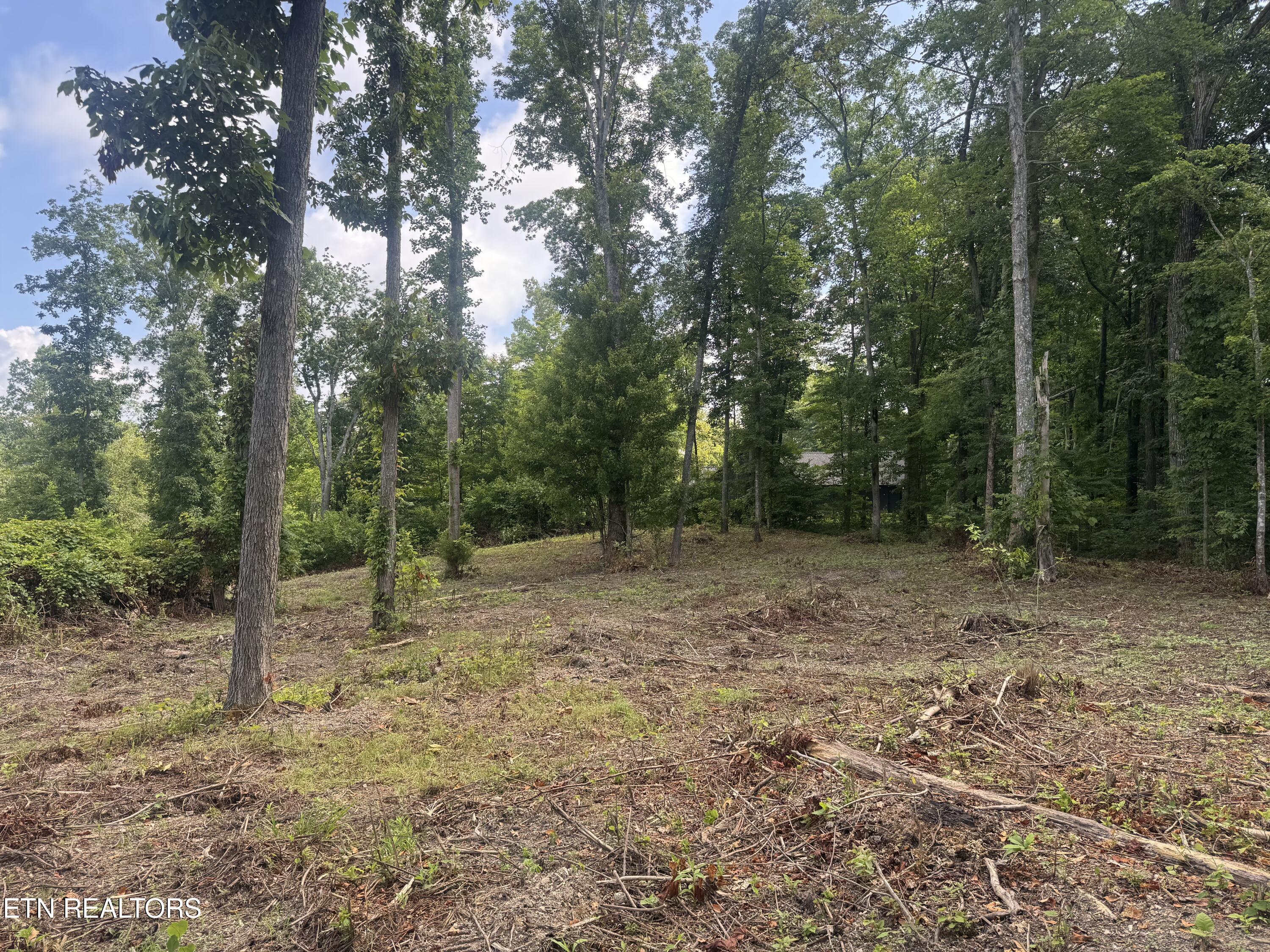 Tract 2 Mill Creek Road Andersonville TN 37705