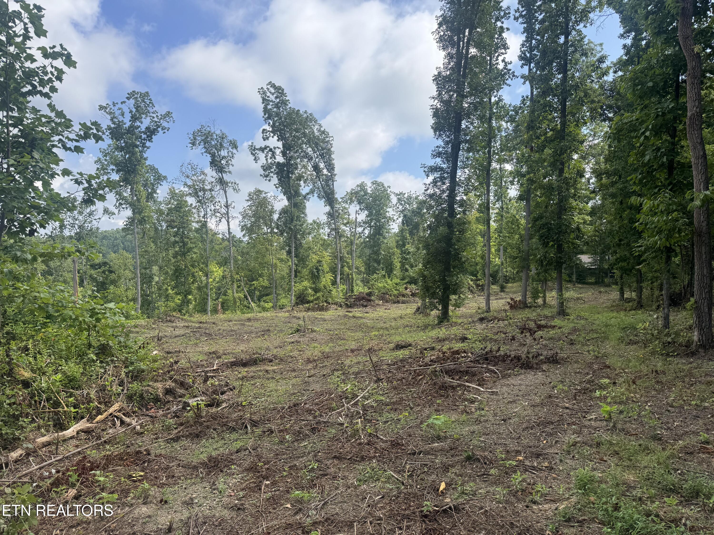 Tract 2 Mill Creek Road Andersonville TN 37705