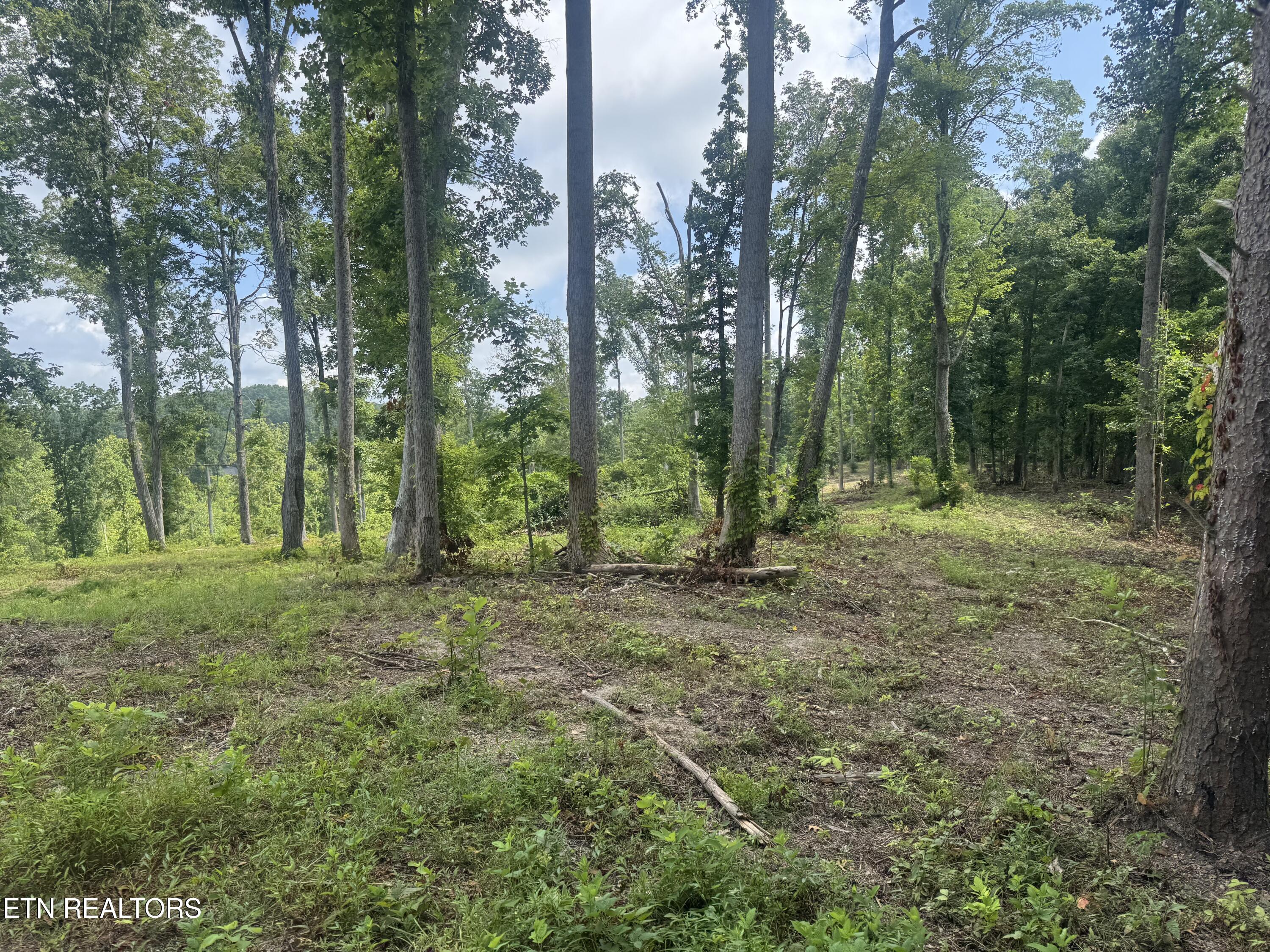 Tract 2 Mill Creek Road Andersonville TN 37705