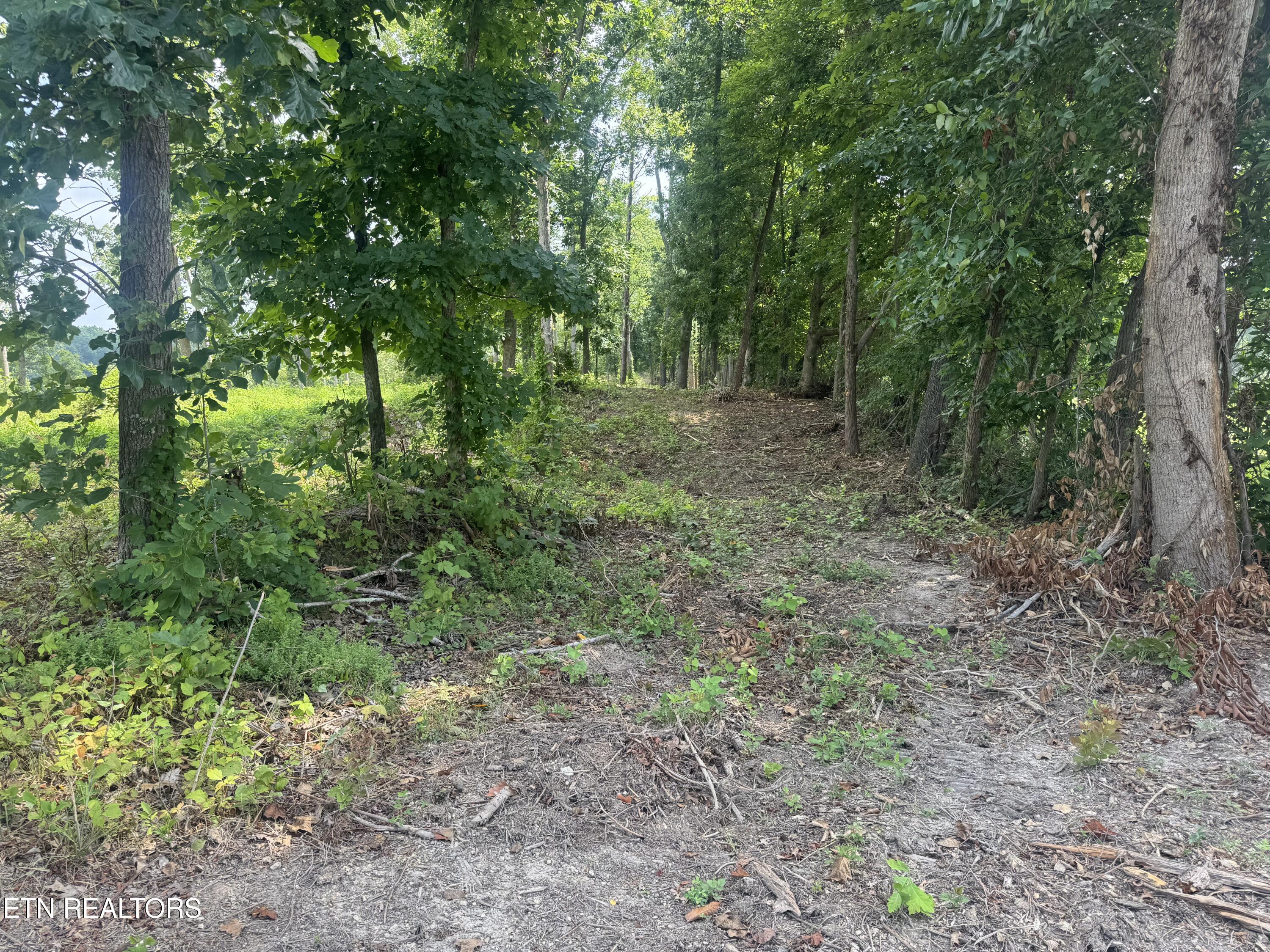 Tract 2 Mill Creek Road Andersonville TN 37705