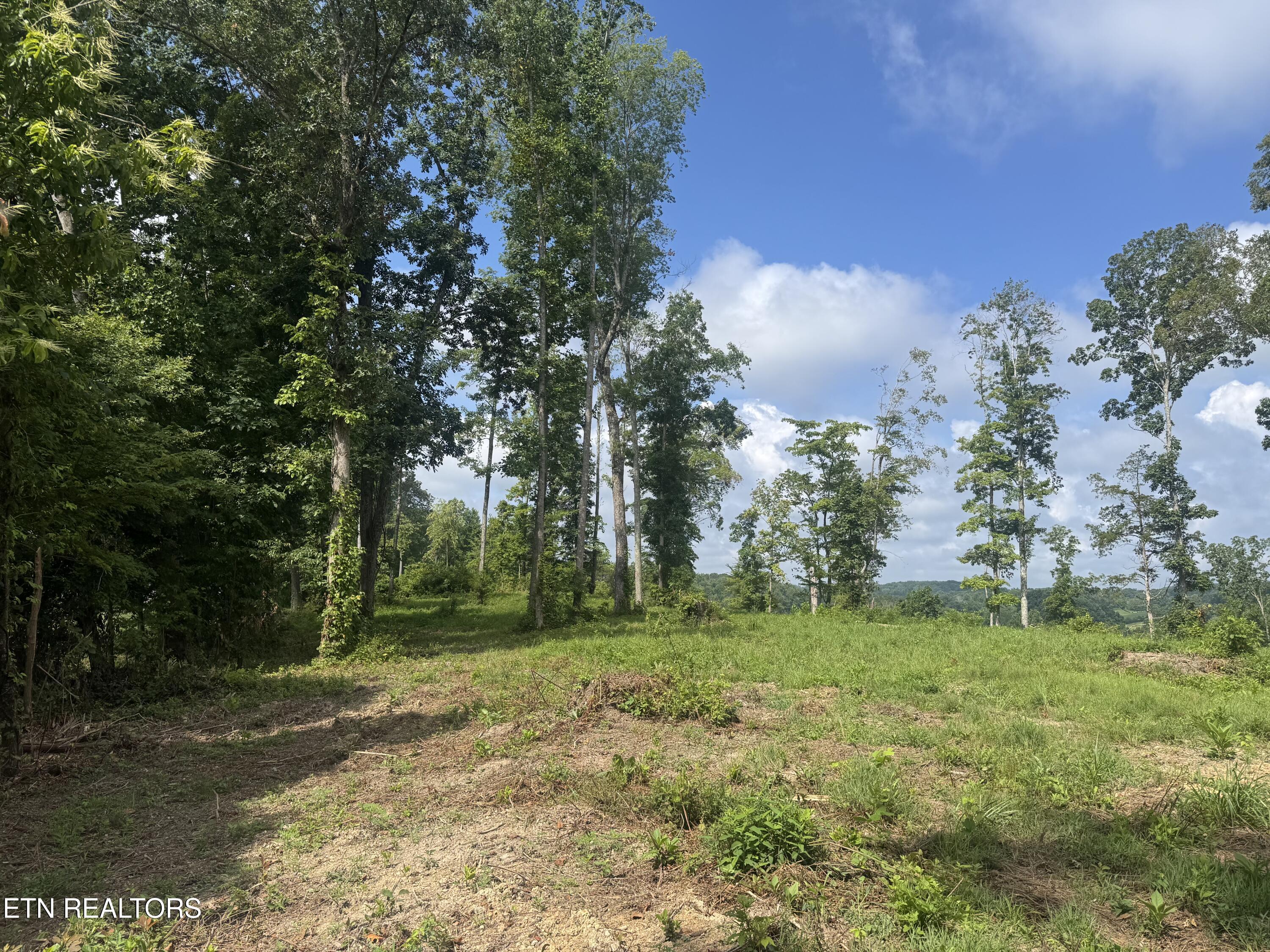 Tract 2 Mill Creek Road Andersonville TN 37705