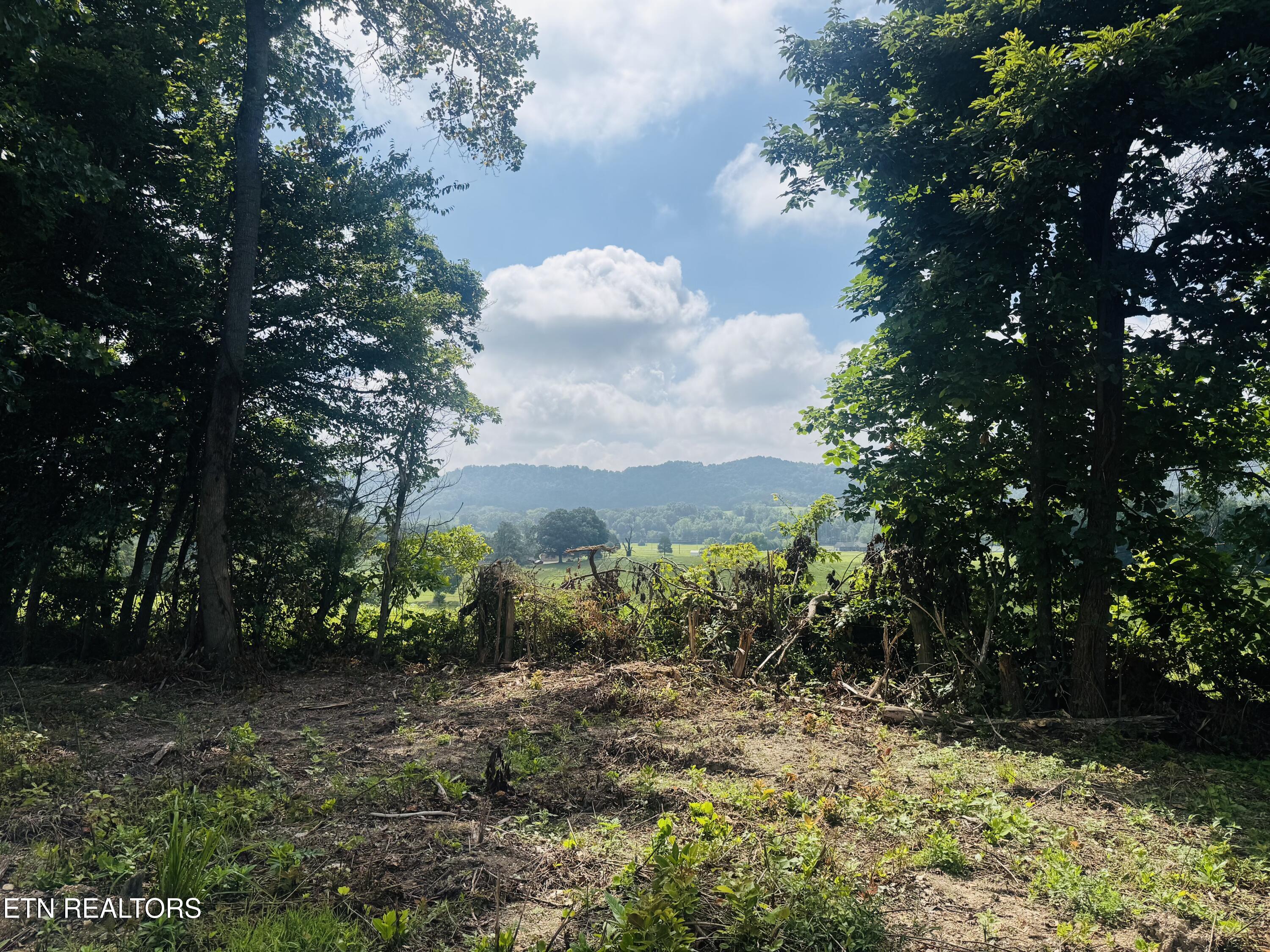 Tract 2 Mill Creek Road Andersonville TN 37705